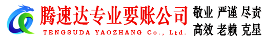 云龙清债公司